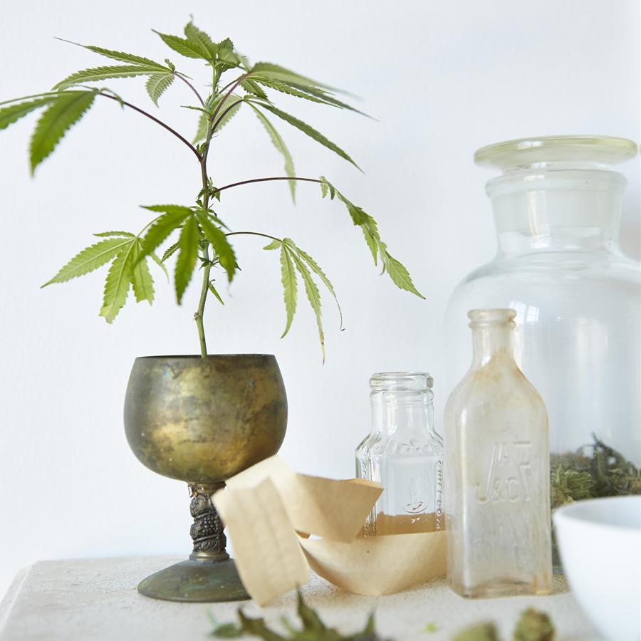 Southeast Seattle Spa Day - Have a Heart Skyway