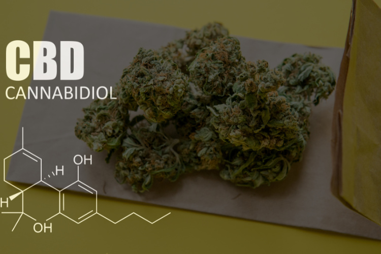 Best CBD Strains Choices - molecule