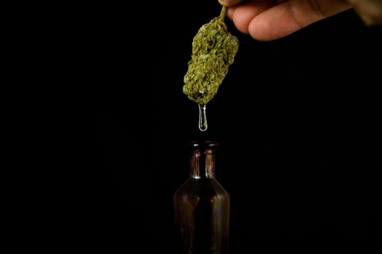 best cbd strains oil from flower