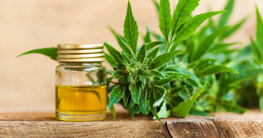 cbd tincture 1