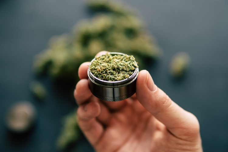 what are phytocannabinoids flower in grinder