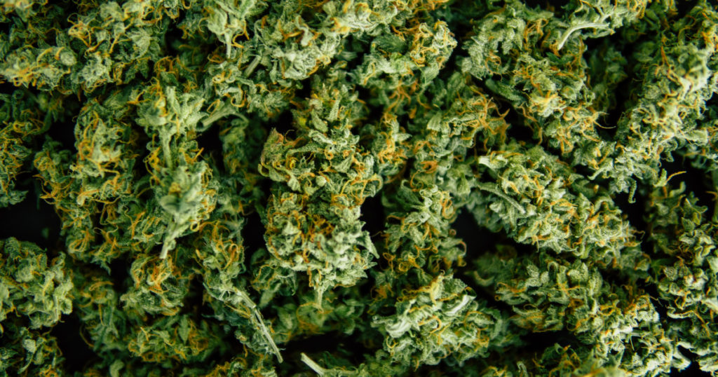 best strains