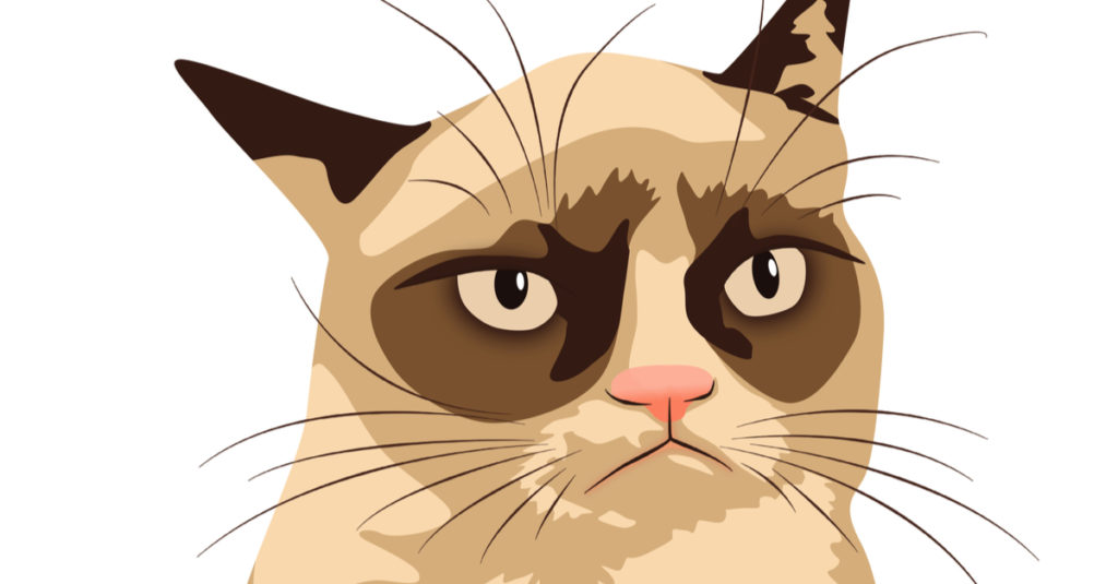 CBD oil memes grumpy cat