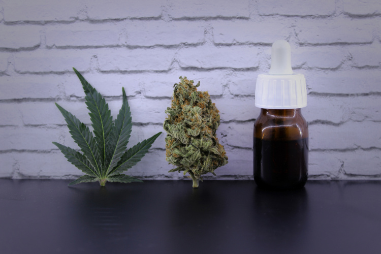 How to Pick a Cannabis Strain leaf bud oil