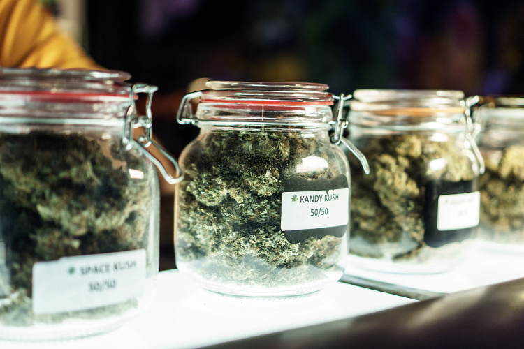 How to Pick a Cannabis Strain jars of bud
