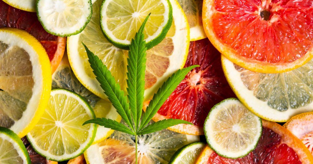 fruity cannabis strains