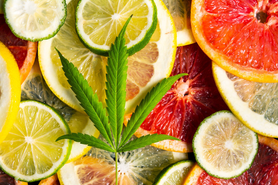 fruity cannabis strains