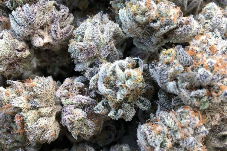 High Noon Cultivation Co Crystal Cookies