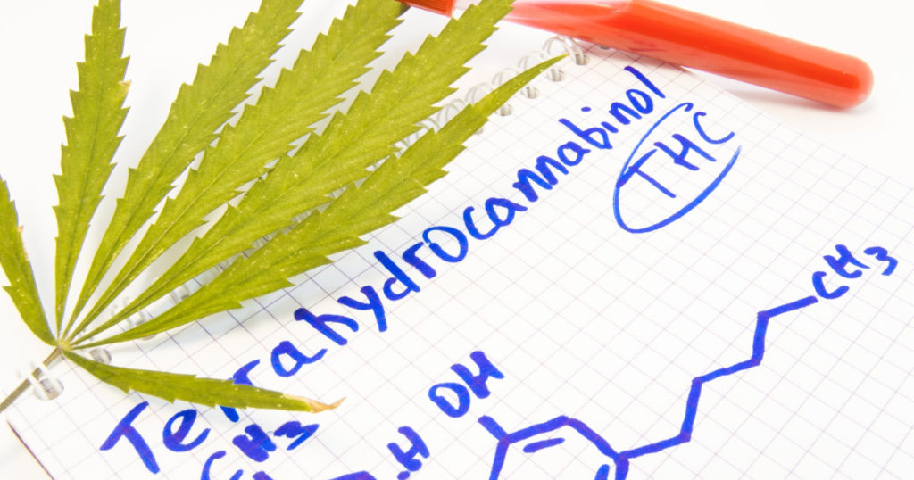 How long does THC stay in your system