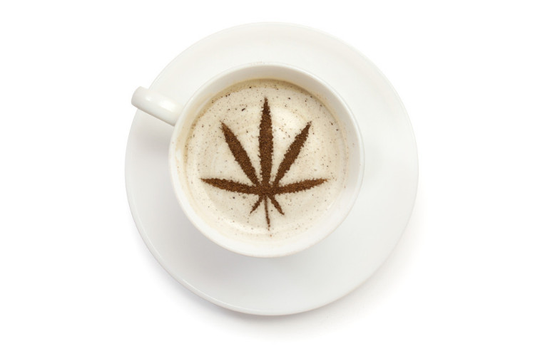 Cannabis Coconut Oil 3