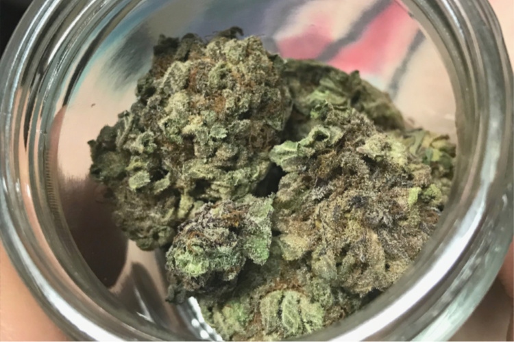 GSC 1