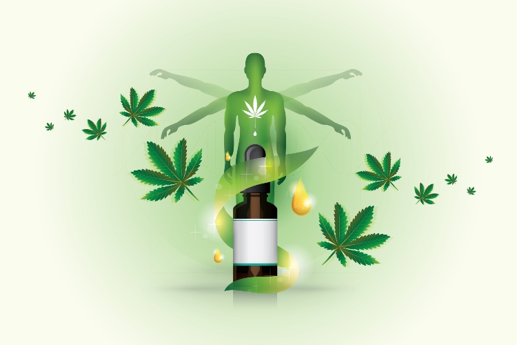 How Long Does CBD Stay in Your System 1