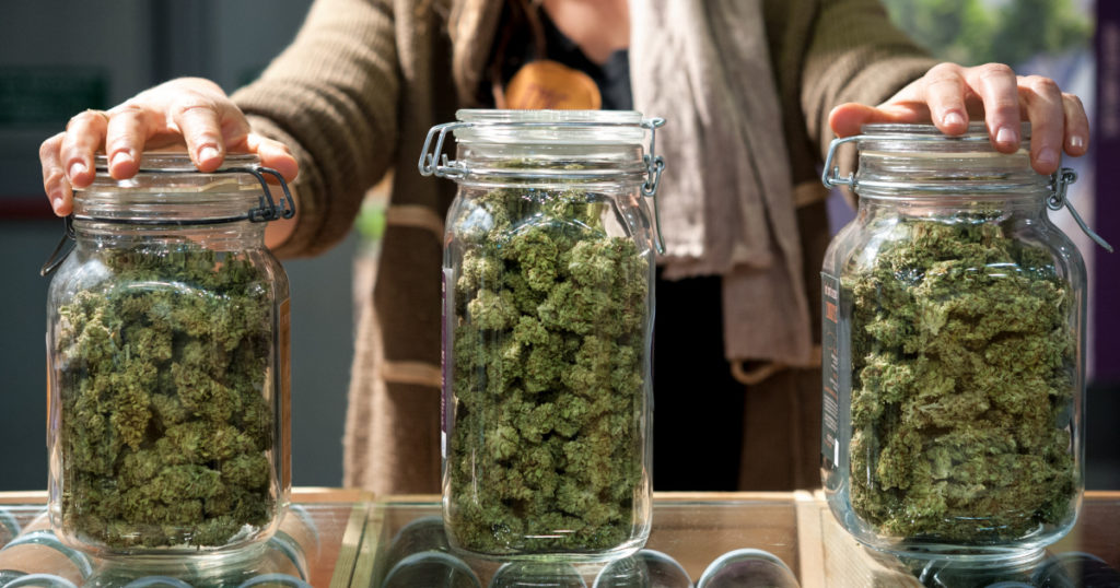 How to choose a cannabis strain