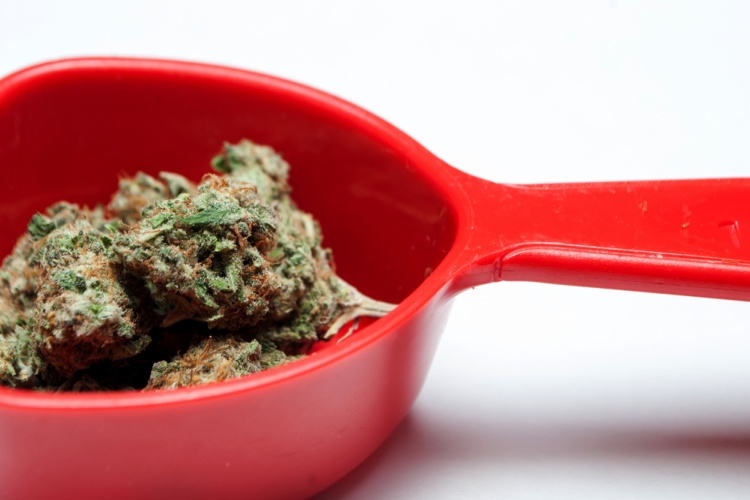 Things to Know When Cooking with Cannabis 1