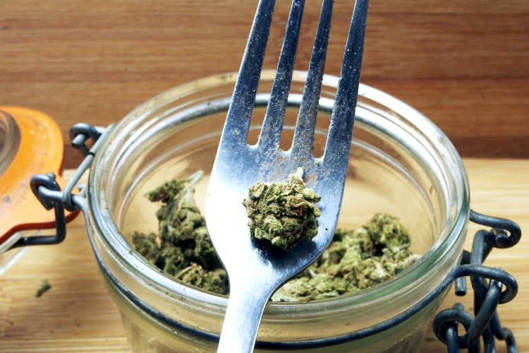 Things to Know When Cooking with Cannabis